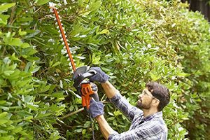 Firmajulegaver til 960 kr