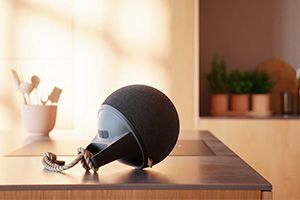 Firmajulegaver til 560 kr